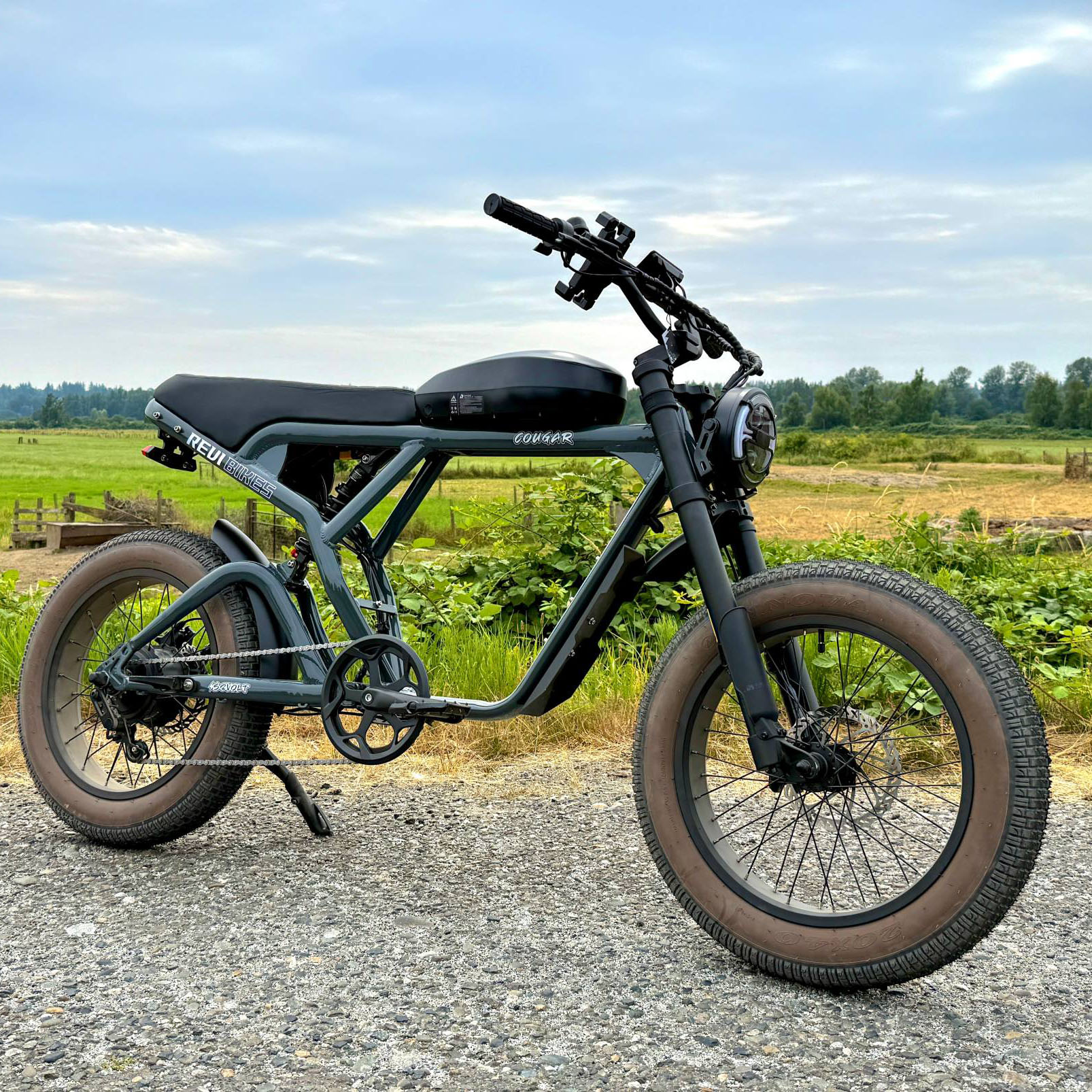 Mountain Biking A Sport - OEM Super Electric Mountain Bike 1000W