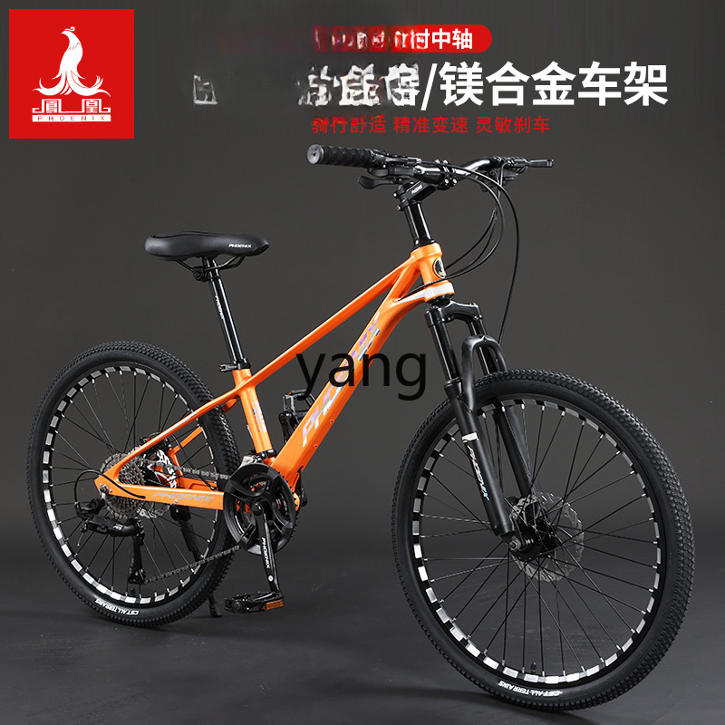 LTT Magnesium Alloy Male and F - огляд і ціна Mountain Biking Youth