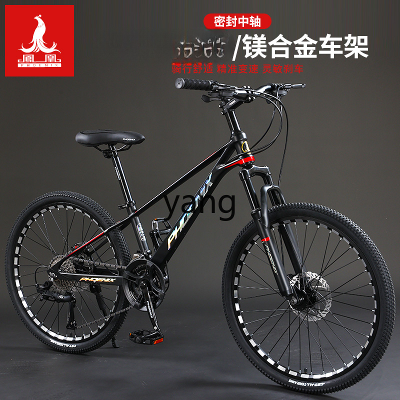 LTT Magnesium Alloy Male and F - огляд і ціна Mountain Biking Youth