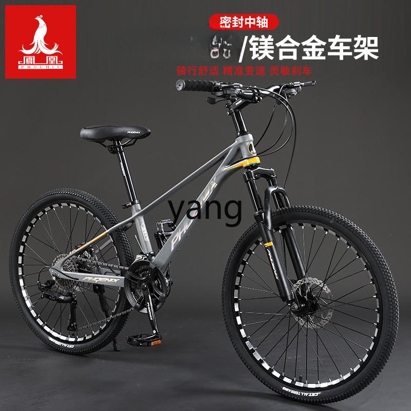 LTT Magnesium Alloy Male and F - огляд і ціна Mountain Biking Youth