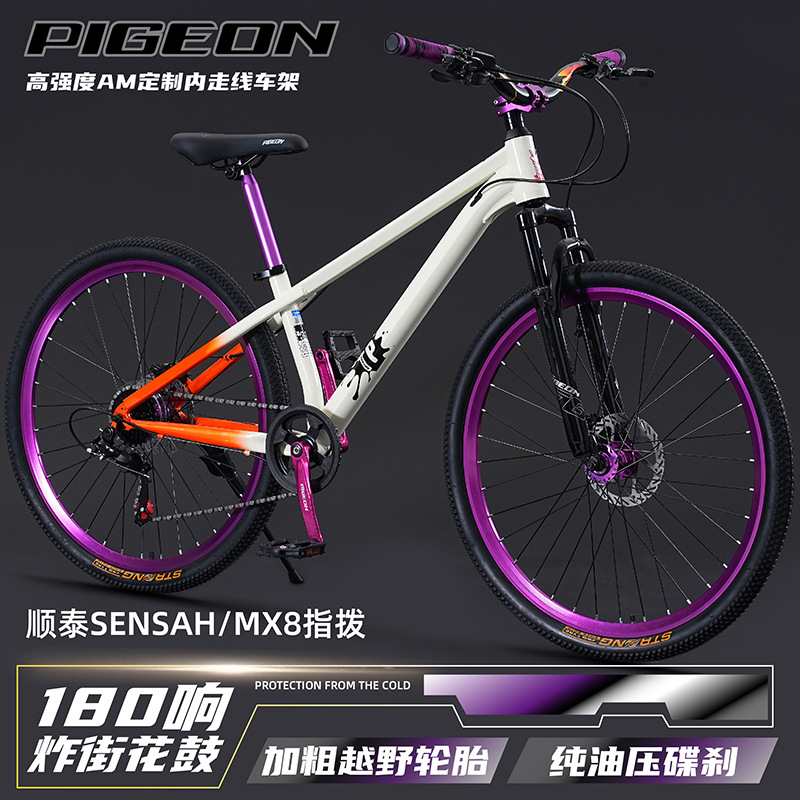 Mountain bike  youth & adult   - огляд і ціна Mountain Biking Youth