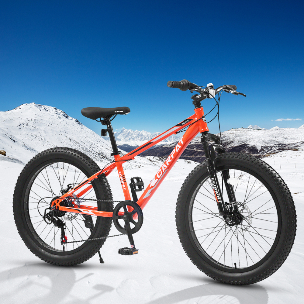 Elecony 24'' Fat Bike Adult/Yo - огляд і ціна Mountain Biking Youth